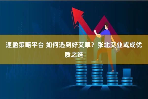 速盈策略平台 如何选到好艾草？张北艾业或成优质之选